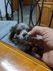 Изображение товара 5