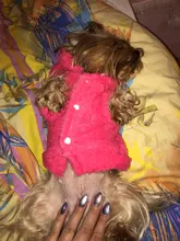 Ropa de Gato caliente para mascotas, abrigo, chaqueta para perros pequeños, medianos, gatos, Chihuahua, ropa de Yorkshire, disfraz rosa, S-2XL