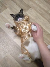 Ropa de abrigo para Perros Bulldog Francés, Ropa de cachorro, Chihuahua, yorkie, abrigo de perrito mascota, chaqueta, perros, mascotas