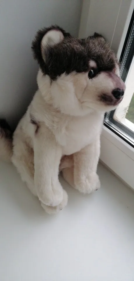 Dropshipping Cuddly Wolf Plush Toy Lifelike Soft Stuffed Animal Adorable Plushy Kids Doll Fluffy Birthday Gifts For Children Boy Stuffed Plush Animals Aliexpress