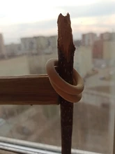 Toy Diy-Accessories Bird Pet-Parrot Home-Decoration Wooden-Ring Chew Natural Bite Molar