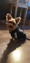 Sudadera con capucha para Perro, Ropa de invierno para mascotas, abrigo, Chaqueta de algodón, Ropa para Bulldog Francés