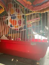 Birds Parrot Cage Nest Cave Hammock Hut-House Suitable Plush Bed for Pets-Hang Velvet