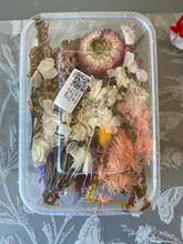 1 caja de hojas de flores prensadas reales, resina de margaritas secas, calcomanías de belleza para uñas, moldes de epoxi, embellecedores para fabricación de joyas