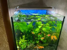 Led-Lighting Aquarium Chihiros Fish-Tank Aquatic-Plant Sunsun Ade Nicrew SMD 18W 220V