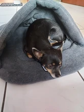 Bed Sleeping-Bag Puppy-Cave-Bed Small Dog Soft-Fleece Warm Cat 4 Winter Pet-Dog Different-Size
