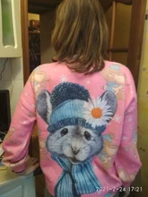 Sweater Pullover Embroidery Animal Knitting Harajuku Fluffy Cartoon Women Kawaii Warm