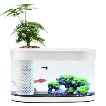 

Xiaomi aquarium