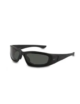 

990.02 goggles F1 lens PC Solar anti-fog gray