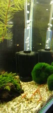 POND-FILTER Shrimp Filtration Bio-Sponge Aquarium Fry-Betta Fiter Nano Fish-Tank Cotton