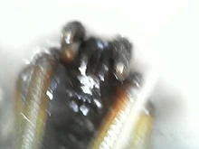 Microscopio Digital portátil con interfaz USB, dispositivo electrónico con 8 LED y soporte, 1600X, 1000X