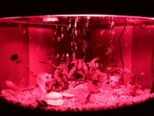 Aquarium Lighting Lamp Submersible-Light Fish-Tank Underwater 24-54CM
