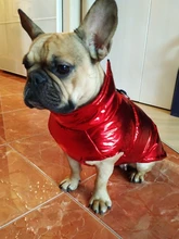 Coat Jacket Vest Bulldog-Clothing Puppy Dogs-Chihuahua French Waterproof Large Winter