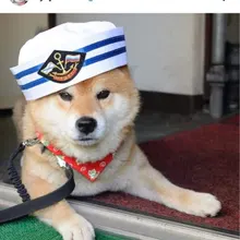 A*** 