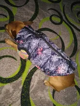 Dog Vest Pet-Supplies Down-Jacket Puppy Chihuahua Winter Windproof Small Warm Apparel