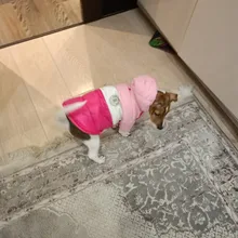 Outfit Jacket Hoodie Dog Warm Waterproof Winter Coat Splice Pet-Puppy 6-Colours 8-Sizes