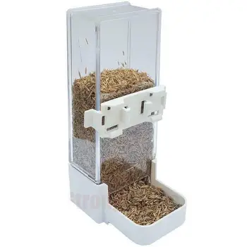 

FEEDER PARROTS 200CC