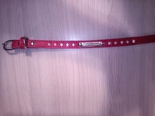 Dog-Collar Dogs Pink Customized Engraved Yorkies Chihuahua for Small