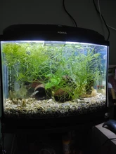 Bright-Clip-Lamp Led-Light Aquarium Plants Fish-Tank Blue Waterproof Super-Slim 220v