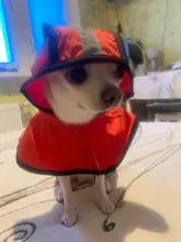 Jumpsuit Hoodies Pet-Coat Rain-Jacket Reflective French-Bulldog-S-2xl Waterproof Medium