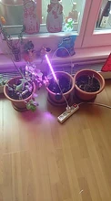 Grow-Light Phyto-Lamp Greenhouse-Vegetable-Seedling-Plant-Lighting USB Full-Spectrum