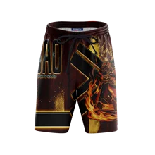 Свежий горячий аниме косплей меч искусство онлайн Кляйн вдохновил Высокое качество 3D сублимации пляжные шорты с рисунком