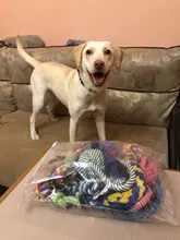 Toy-Sets Chew-Rope-Toys Large-Dog Teeth Big Dogs Outdoor for 12pcs Juguete Perros Para