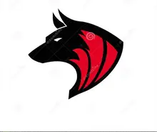 Placa de bobinado de espuma de 8/16 uds, línea de pesca, carretes de bobina, caja de aparejos, líneas rojas