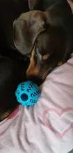 Ball Chewing-Toys Interactive-Game Teeth-Clean Watermelon-Shape Rubber Safety Green-Material
