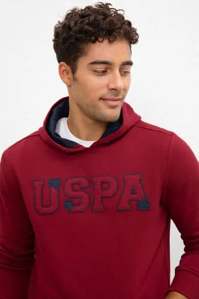 U.S. POLO ASSN. Обычная Толстовка