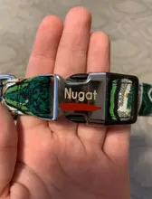 Collar de nailon para perro, personalizado con placa de etiqueta de identificación grabada para mascota, reflectante, perros pequeños, medianos y grandes