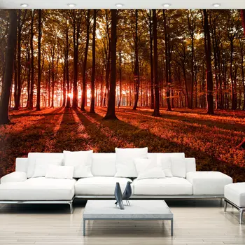 

Wall mural-Autumn Morning - 250x175 cm