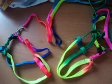 Colorido Arco Iris Pet arnés Collar de perro Correa suave caminando arnés plomo colorido y tracción duradera la cuerda de Nylon 120cm