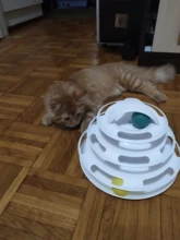 Ball Cat-Toys Play Cat Intelligence Tower-Tracks-Disc Training Amusement-Plate