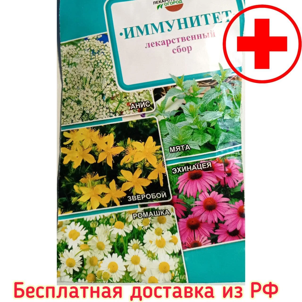 *Семена трав лекарственный сбор Иммунитет Анис Зверобой Ромашка Мята Эхинацея