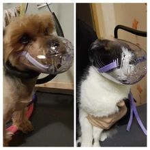 Bozal transpirable Para perros y gatos, mascarilla antimordeduras, máscara Para la boca Para gatitos y mascotas, bozal Para limpieza de baños de gatos, herramienta Para Gat