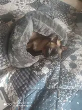 Pet bed for Cats Dogs Soft Nest Kennel Bed Cave House Sleeping Bag Mat Pad Tent Pets