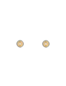 

Earrings Baby Gold or Girl round bicolor with circon (9kts)