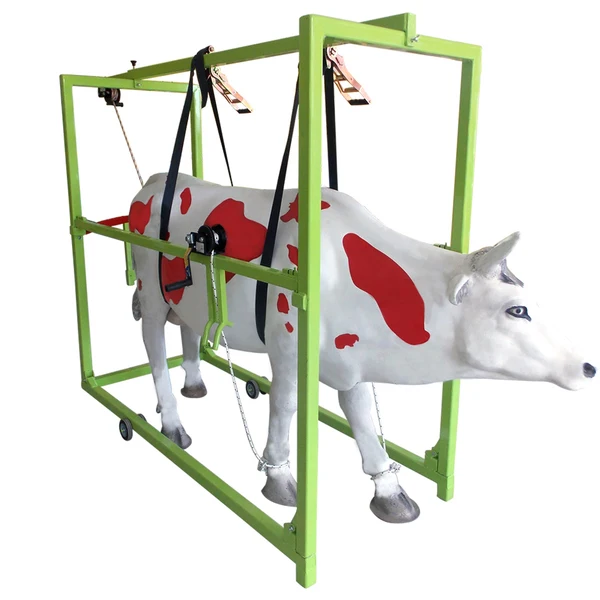 

Selvet™ Hoof Trimming Chute Mobile Travay
