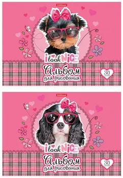 

Album for drawing on glue clever dog, A4, 30 sheets erichkrause 45431ek