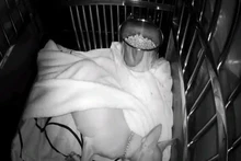 Cámara WiFi batería 3.0MP HD inalámbrico al aire libre cámara IP de seguridad vigilancia impermeable PIR alarma de Audio