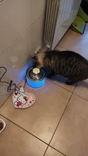 Water-Fountain Automatic Bowl Feeder Drinker FILTERS Led-Lighting Cats with 5-Pack USB