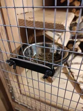 Pet puede colgar estacionario jaula de perro cuencos de acero inoxidable perro gato Boles colgantes Durable cachorro gatito de tazón para agua y alimentos