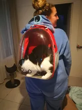 Mochila transparente para transporte de mascotas de gatos y perros, mochila para gatos, mochila para viajes al aire libre, bolsa para mascotas, transpirable, portátil, envío gratuito