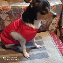 Ropa de verano para mascotas, Camiseta con estampado de flamenco para perro, chaleco para perros pequeños y medianos, accesorios para mascotas, chaleco para gatos, camisas, XS-2XL