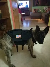 Vest Pouches Pet-Harness Dogs No-Pull Training Molle Military Hiking Tactical Large Medium