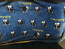 New Winter Warm Dog Bed for Dogs Soft Fleece Pet Blanket Dog Sleeping Mat Pets Mattress