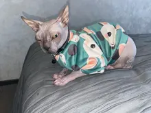 Cartoon Cat Hoodie Sweater Autumn Winter Pet Cat Clothes for Cats Katten Kedi Pullovers