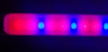 Grow-Lamp Sunlight Imitating Young-Plants Uv-Growing Full-Spectrum Indoor LED DC 5V 3W