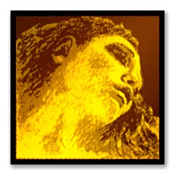 

415022 Evah Pirazzi gold set of strings for violin 4/4, synthetics, tuba, Pirastro